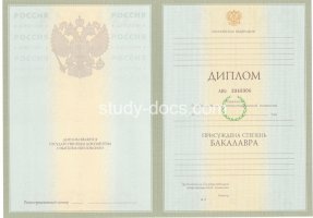 Диплом бакалавра 2004-2009 в Кургане