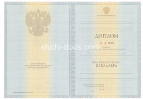 Диплом бакалавра 2010-2013 в Кургане