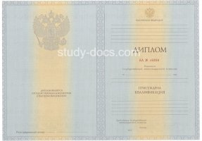 Диплом специалиста 2012-2013 в Кургане